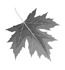 logo_pensjonat_srebrny_klon_bytow